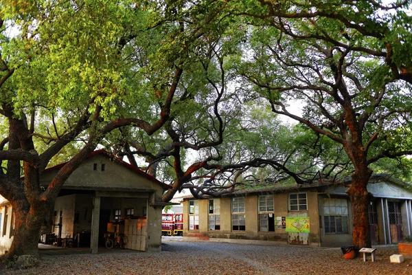 The Impact of Westgate Resorts on the Vacation Rental Market